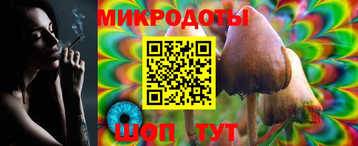 Псилоцибиновые грибы GOLDEN TEACHER  Вход с VPN  Галлюциногенные грибы мухоморы  Новокубанск 